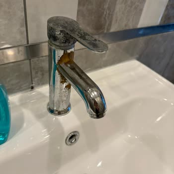 Rezervasyon Sonrası Kötü Temizlik Ve Yetersiz Hizmet Deneyimi