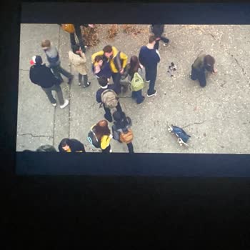 Tod TV’de Sürekli Donma Ve Düşük Kaliteye Çözüm Bulamıyorum