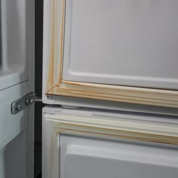 Garanti Kapsamındaki Vestel Buzdolabında Paslanma Sorunu Ve Yetersiz Çözüm