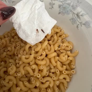 Makarnadan Böcek Çıktı: Filiz Markasında Hijyen Skandalı