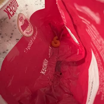 Makarnadan Böcek Çıktı: Filiz Markasında Hijyen Skandalı