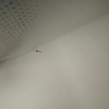 Eksik Ve Hasarlı Mutfak Ürünleri Teslim Edilmedi, Mağduriyetim Giderilmiyor