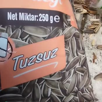 Çerezya Çekirdeğin İçinden Kabak Çekirdeği Çıktı