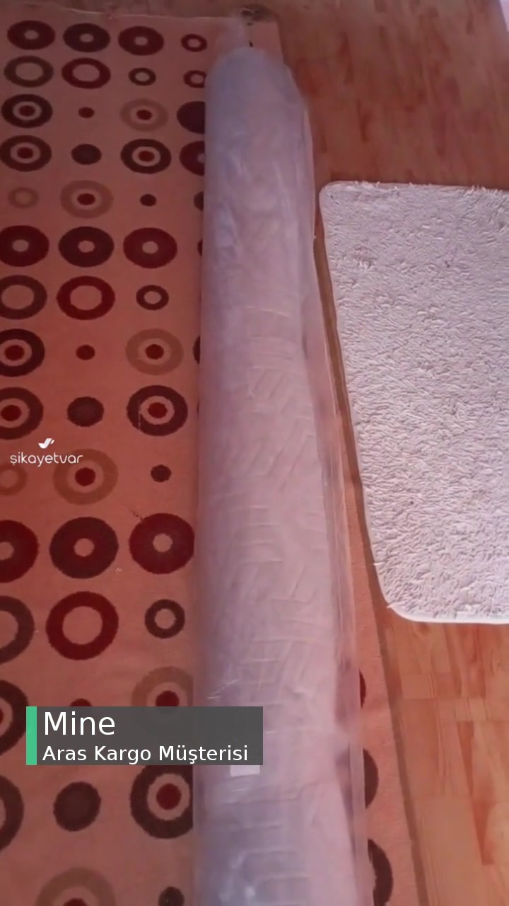 Aras Kargo Çalışanı Aldığım Bu Büyük Ağır Halıyı Kapıma Teslim Etmedi! videonun kapak resmi