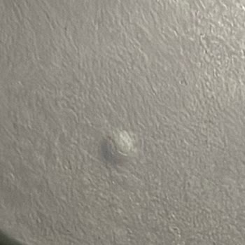 Servis Sonrası Laptopumda Oluşan Hasar Ve Yetersiz Çözüm Teklifi