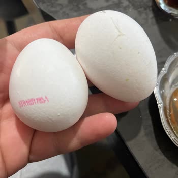 Son Kullanma Tarihi Geçmemiş Yumurtalar Kötü Kokulu Ve Tüketilemez Çıktı