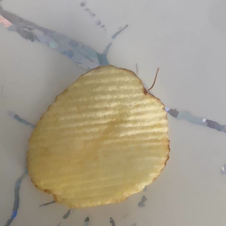 Cips İçinde Yabancı Maddeyle Karşılaşılması Ve Çözüm Talebi