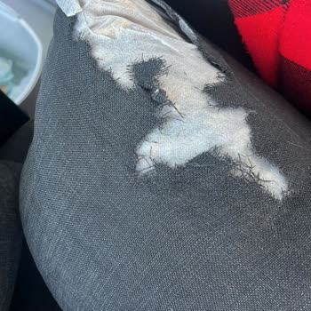 Aldığım Bahçe Koltuk Takımının Kılıfları Parçalanıyor, Firma İlgisiz Kaldı