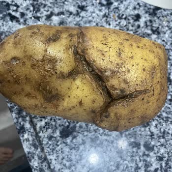 Defalarca Çürük Ürün Gönderimi Ve Çözüm Sunulmaması Güvenimi Sarsıyor