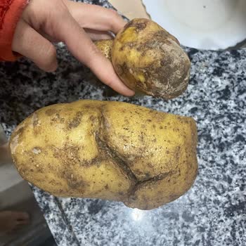 Defalarca Çürük Ürün Gönderimi Ve Çözüm Sunulmaması Güvenimi Sarsıyor