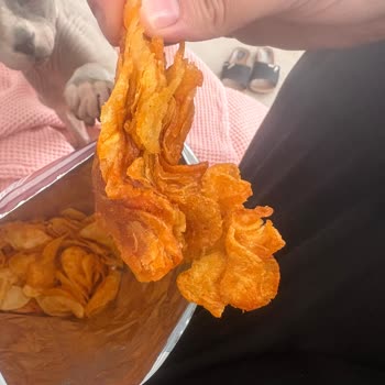 Bozuk Cips İçin Lays'tan Çözüm Ve Özür Bekliyorum