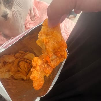 Bozuk Cips İçin Lays'tan Çözüm Ve Özür Bekliyorum