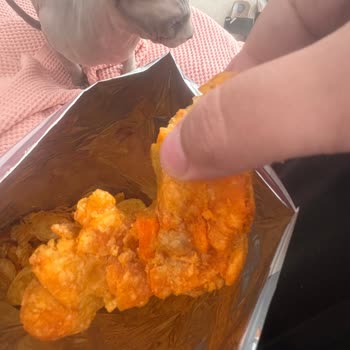 Bozuk Cips İçin Lays'tan Çözüm Ve Özür Bekliyorum