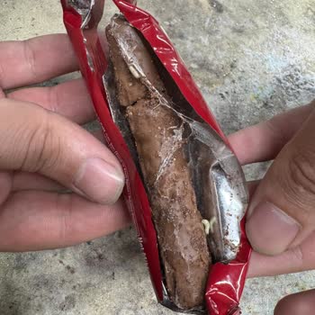 Aldığım Çikolatanın İçinden Kurtçuk Çıktı!