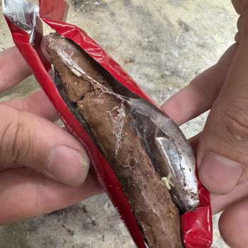 Aldığım Çikolatanın İçinden Kurtçuk Çıktı!