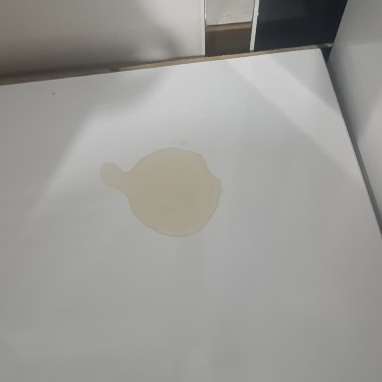 Petek Temizliği Sonrası Süregelen Su Sızıntısı Ve Sorunun Çözülememesi