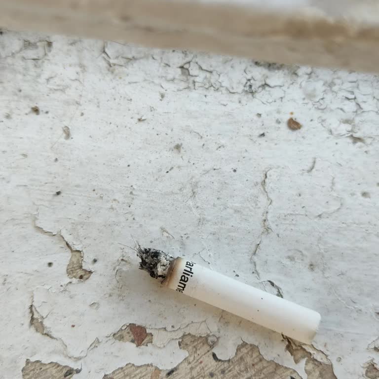 Sigara Paketinden Kıl Çıkması Nedeniyle Yaşanan Hijyen Sorunu Ve İlgisizlik