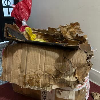 Kargo Gecikmesi Nedeniyle Gıda Ürünlerim Çürüdü, Maddi Zarara Uğradım