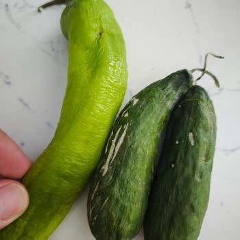 Hoover Buzdolabında Soğutma Sorunu Ve Servis İlgisizliği