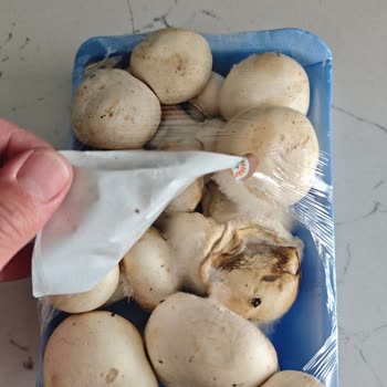 Hoover Buzdolabında Soğutma Sorunu Ve Servis İlgisizliği