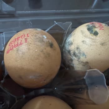 Getir Marketten Küflü Yumurta Teslimatı Ve İade Talebi