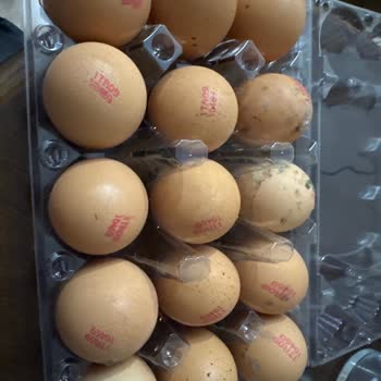 Getir Marketten Küflü Yumurta Teslimatı Ve İade Talebi