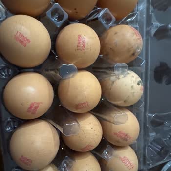 Getir Marketten Küflü Yumurta Teslimatı Ve İade Talebi