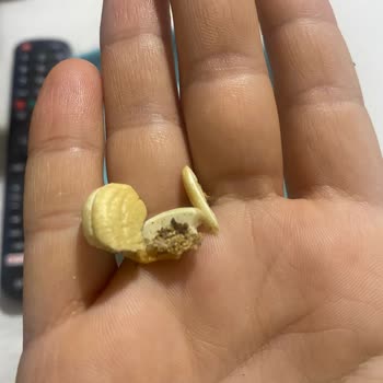 Aldığım Kuruyemişin İçinde Kurtlu Ve Çürük Ürünler Çıktı, Mağduriyet Yaşadım