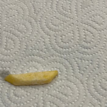 Superfresh İnce Çıtır Patates'te Hijyen Sorunu: Üründe Kıl Çıktı