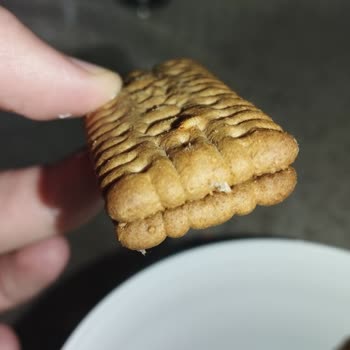 Aldığım Ülker İkram Bisküvinin İçinden Kurt Çıkması Hijyen Sorunu Yarattı