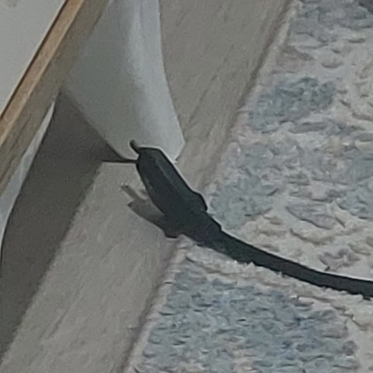 Şehit Er Serhat Şanlı Ortaokulu Okulda Hijyen Ve Yönetim Sorunları Öğrencileri Mağdur Ediyor