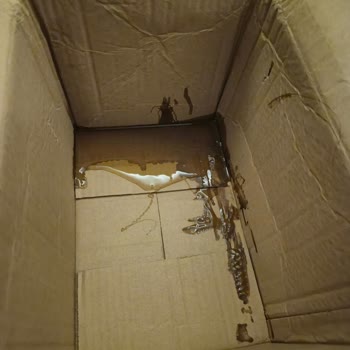 Siparişimdeki Şampuan Dökülmüş Müşteri Hizmetlerine Ulaşamıyorum