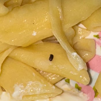 Filiz Makarna'da Tekrarlayan Böcek Sorunu Ve Mağduriyet