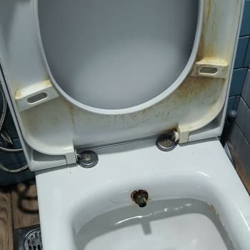 Domino's Şubesinde Süregelen Hijyen Sorunu Ve Temizlik Eksikliği