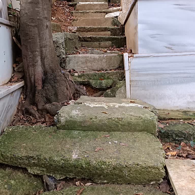 Yeniköy Mezarlığı'ndaki Tehlikeli Merdivenler Acil Onarım Bekliyor