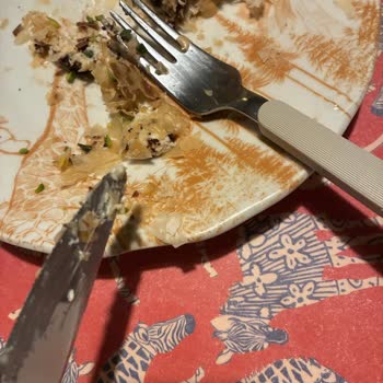 Tatlı Siparişimde Plastik Yabancı Cisim Çıktı: Sağlık Ve Hijyen Endişesi