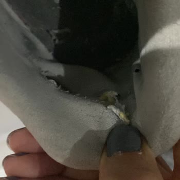 New Balance Ayakkabımın İç Topuğu Yırtıldı Mağaza Sahip Çıkmadı