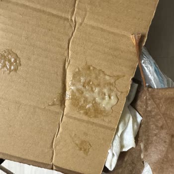 Boza Ürünü Açarken Patladı, Oda Kirlendi