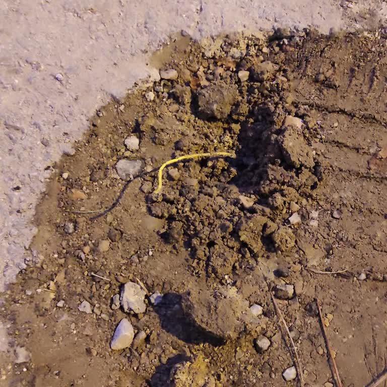 Kazı Çalışması Sonrası Kırılan Kablo Nedeniyle Uzun Süredir İnternet Hizmeti Alamıyorum