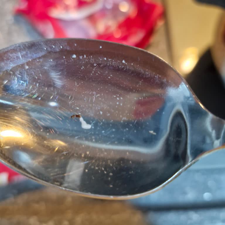 Açılmamış Filiz Makarnada Böceklenme ve Sağlık Riski