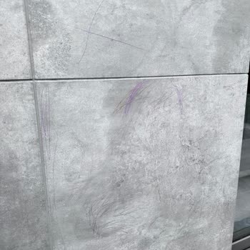 Arı Villaları Sapanca Konaklama Boyunca Hijyen Sorunlarıyla Uğraşmak Zorunda Kaldık!