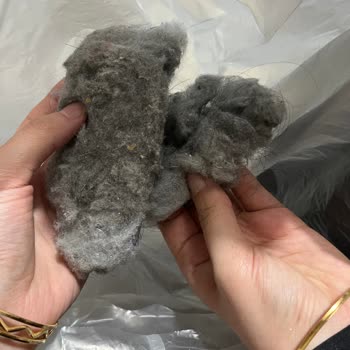 Merinos Halıdan Sürekli Toz Ve Hav Sorunu, Çözüm Yok