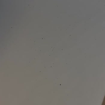 Hijyen Eksikliği, Fiyat Farkı Ve İlgisiz Hizmet Nedeniyle Hayal Kırıklığı Yaşadım