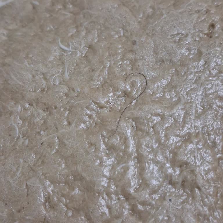 Helva Paketinde Kıl Şoku: Hijyen Sorunu Ve İade Engeli