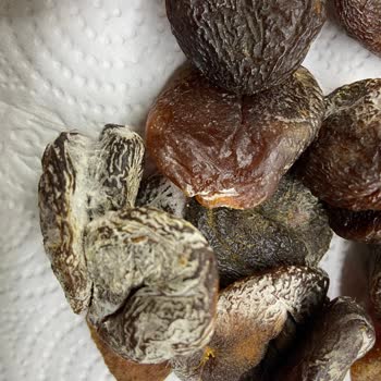 Yeni Alınan Kayısıda Küf Ve İlgisiz Müşteri Hizmeti