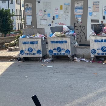Sitemizin Önünde Biriken Çöpler İçin Acil Çözüm Bekliyorum