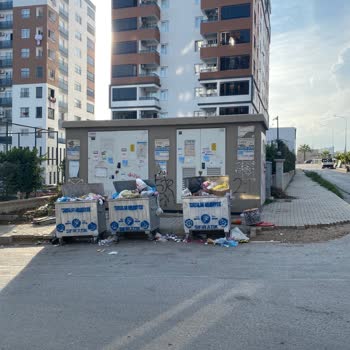 Sitemizin Önünde Biriken Çöpler İçin Acil Çözüm Bekliyorum