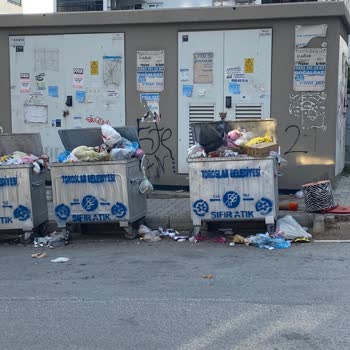 Sitemizin Önünde Biriken Çöpler İçin Acil Çözüm Bekliyorum