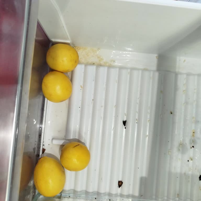 Aldığım Günden Beri Arızalı Buzdolabı Ve Yetersiz Müşteri Hizmetleri Mağduriyeti