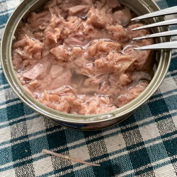 Satın Alınan Ton Balığından Kılçık Çıkması Ve Ürün Değişim Talebi